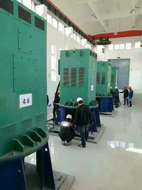 西昌镇某污水处理厂使用我厂的立式高压电机安装现场