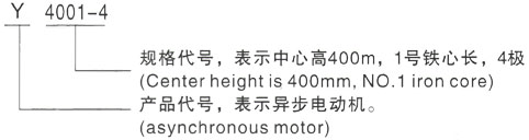 西安泰富西玛Y系列(H355-1000)高压西昌镇三相异步电机型号说明
